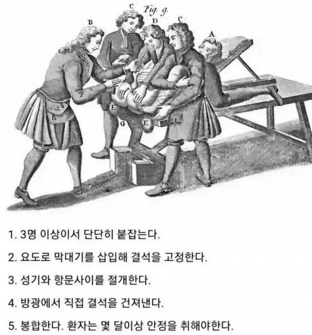 bt29c43620e4eca6444d6fa84412dcfc8d.jpg